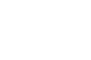 dolic THE wedding